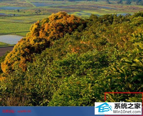 win10电脑不显示时间解决步骤1 win10系统电脑不显示时间的图文步骤