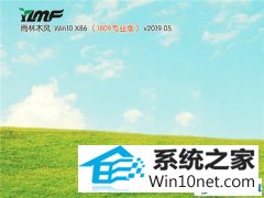 ľַ Win10 x861809רҵ棩v2019.05