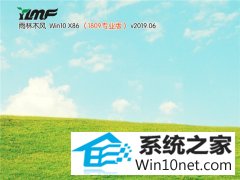 ľַ Win10 x861809רҵ棩v2019.06