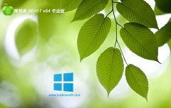 ƻϵͳwin11⼤64λʹv2025.05