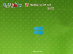 ܲ԰win1164λרҵ޿ٰv2025.05
