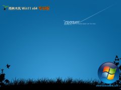 ľ64λwin11޲v2025.05