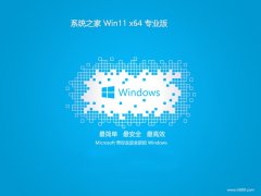 ϵͳ֮win11 64λǿv2025.05
