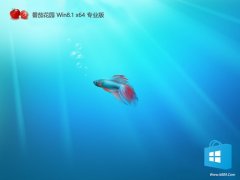 ѻ԰win8.1⼤64λƴv2025.05